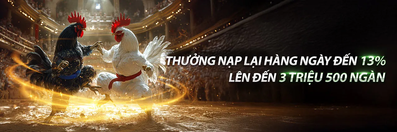 Đá Gà Thomo ngày 27/4 – Trận đấu kịch tính